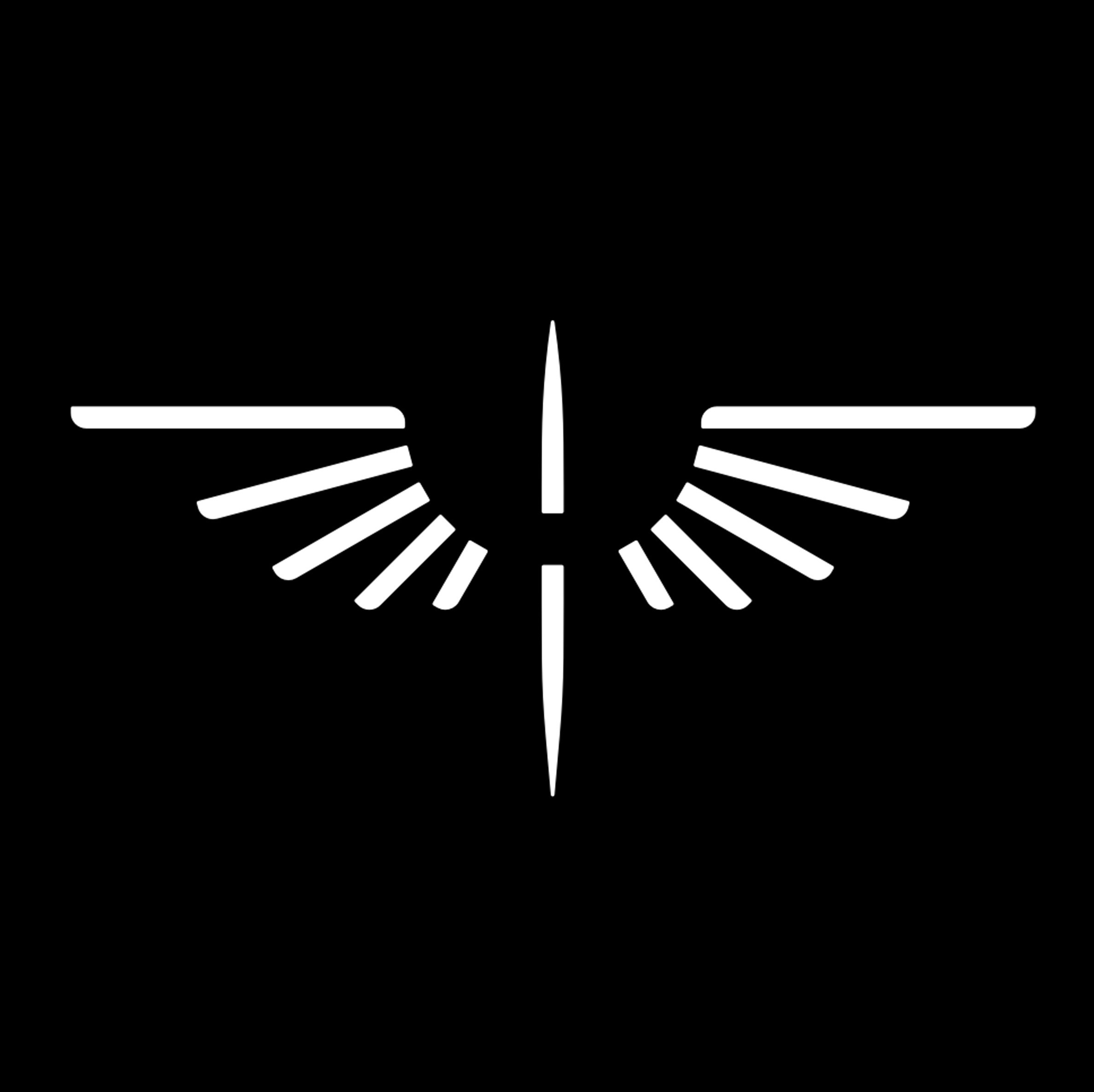 Black Flag Studio logo