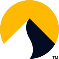 Nirvana Insurance logo