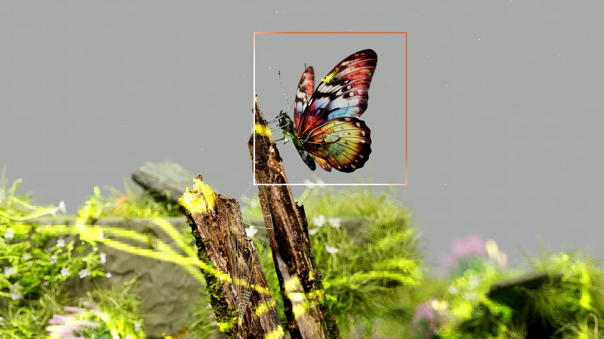 Hero image 1
